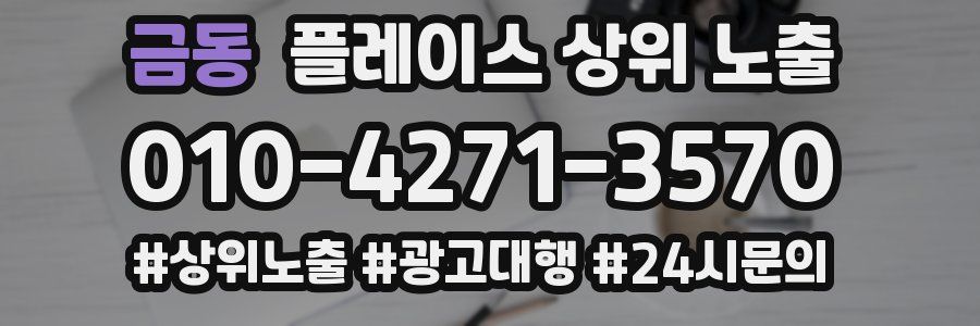 금동 플레이스 상위 노출