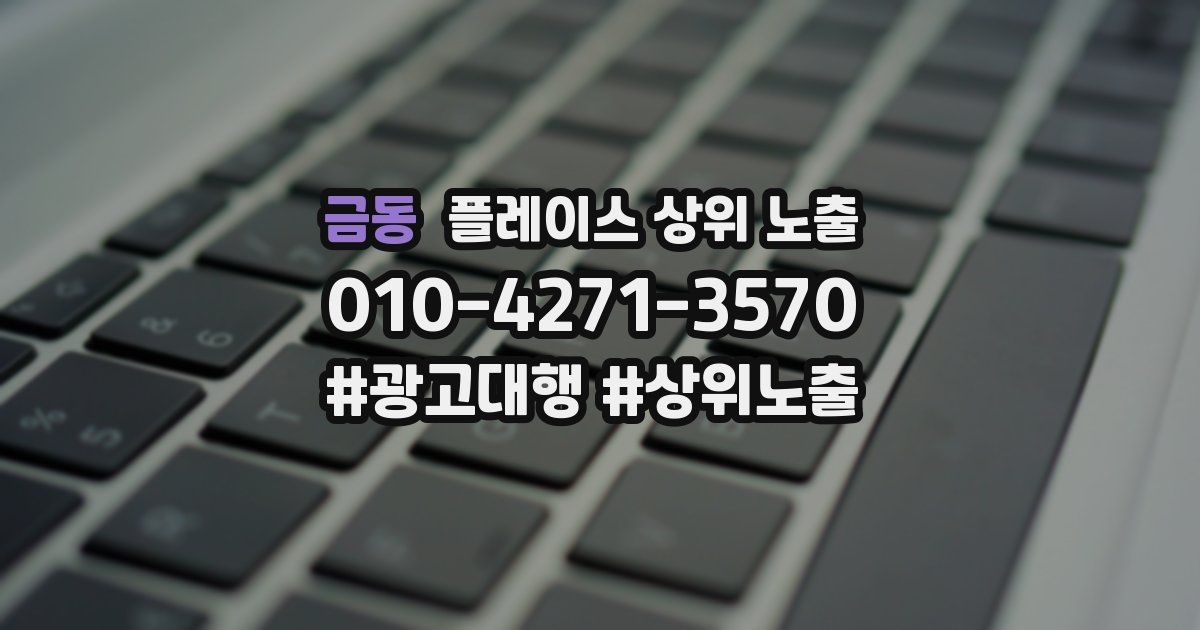 금동 플레이스 상위 노출