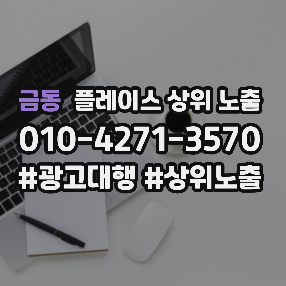 금동 플레이스 상위 노출