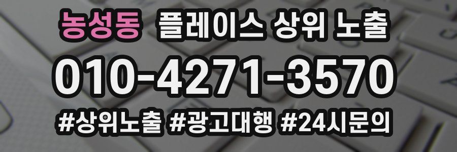 농성동 플레이스 상위 노출