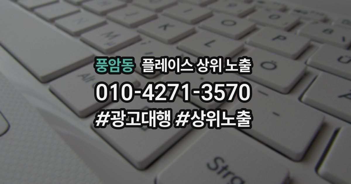 풍암동 플레이스 상위 노출