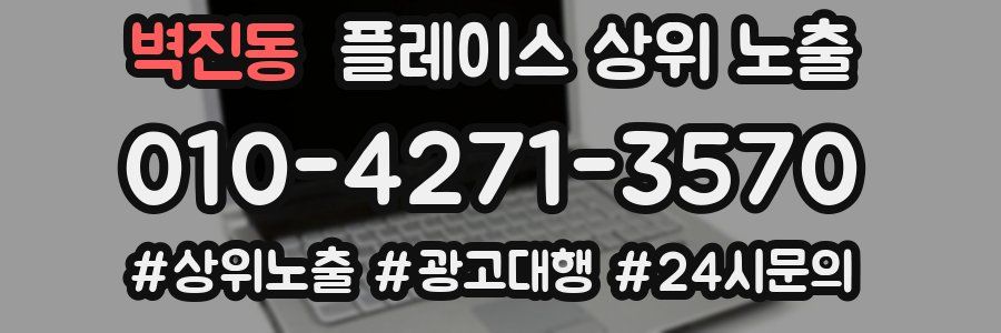 벽진동 플레이스 상위 노출