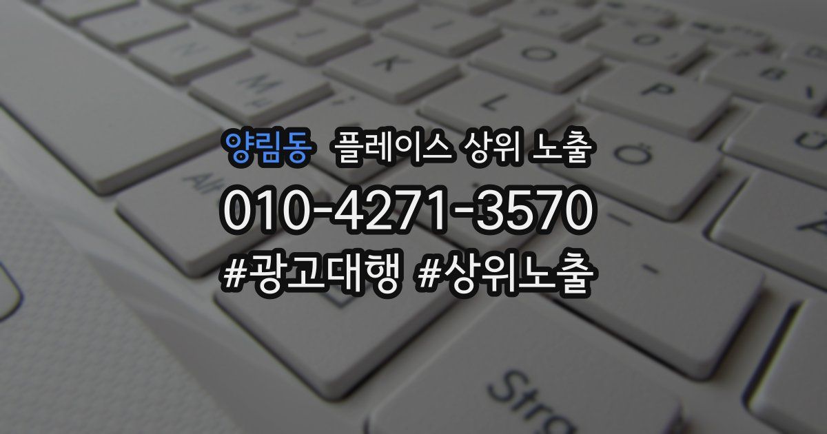 양림동 플레이스 상위 노출