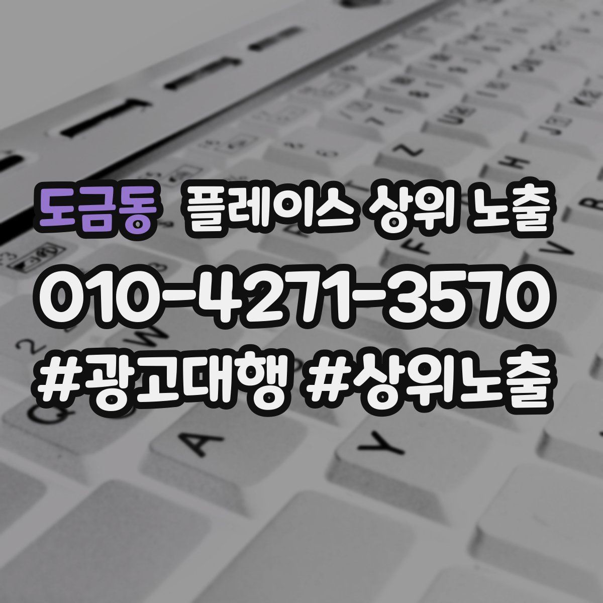도금동 플레이스 상위 노출