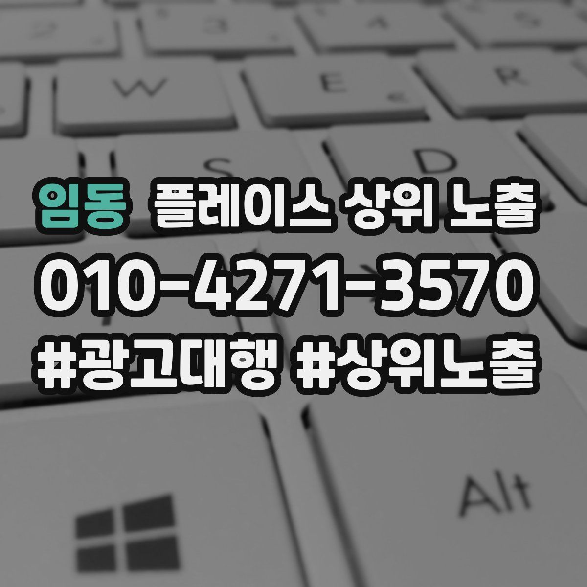 임동 플레이스 상위 노출