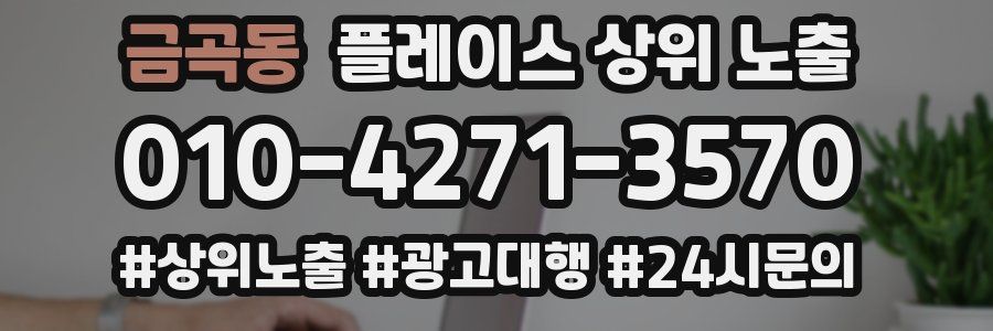 금곡동 플레이스 상위 노출