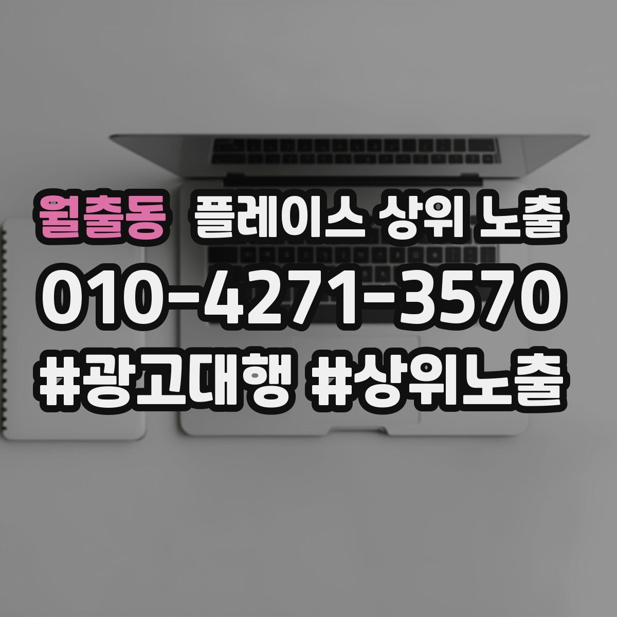 월출동 플레이스 상위 노출