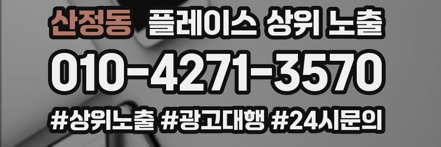 산정동 플레이스 상위 노출