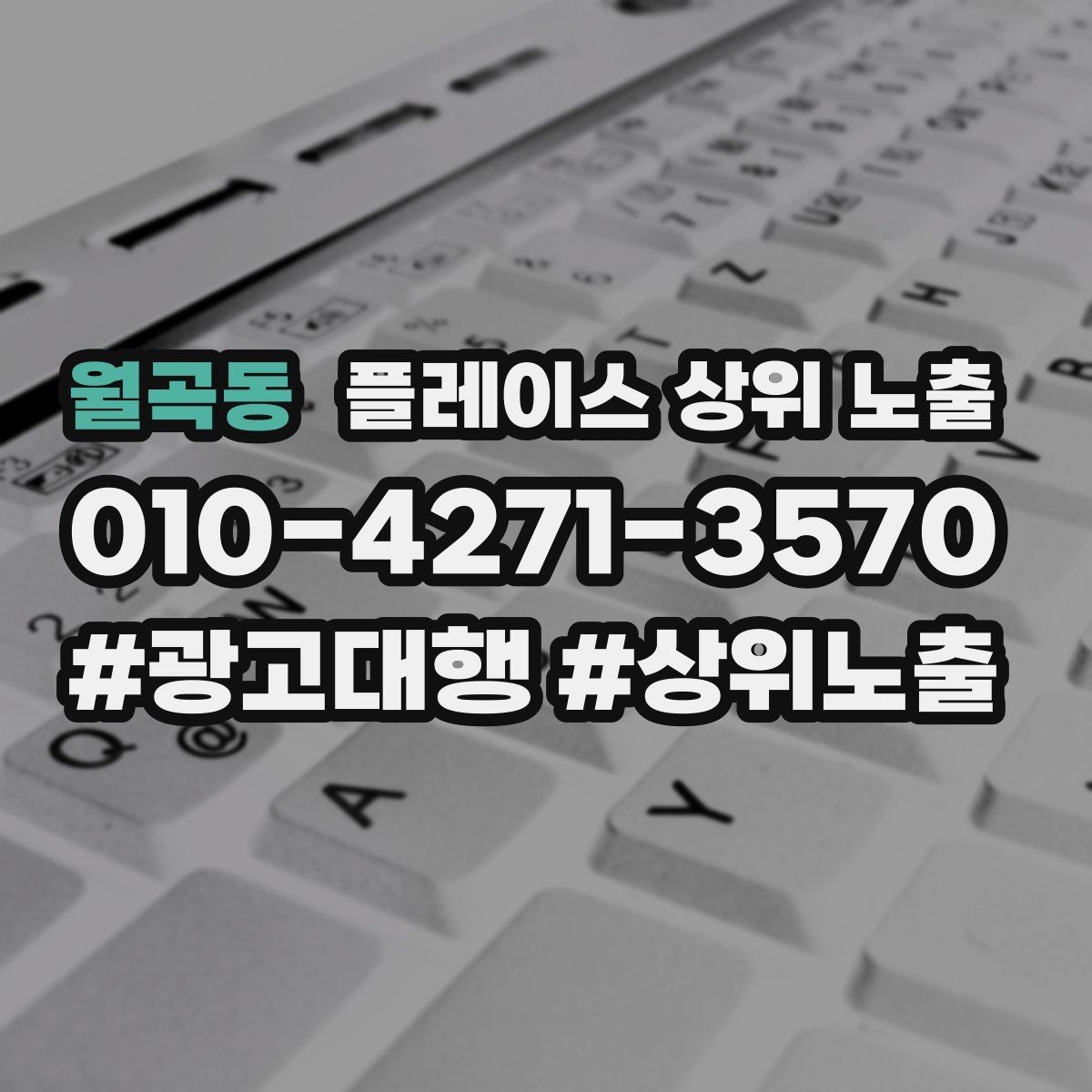 월곡동 플레이스 상위 노출