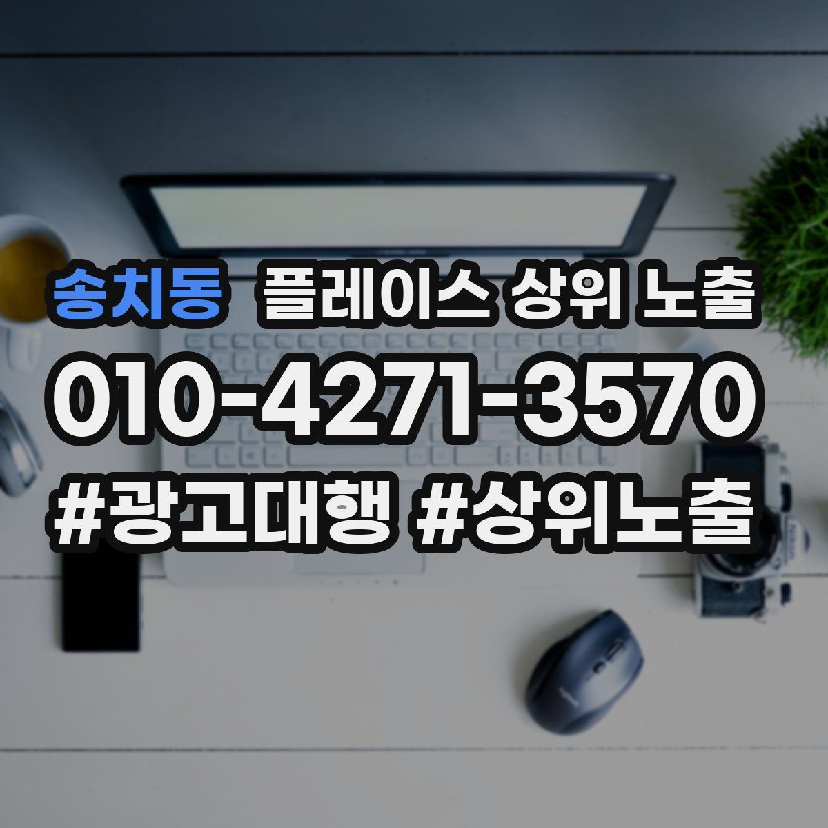 송치동 플레이스 상위 노출