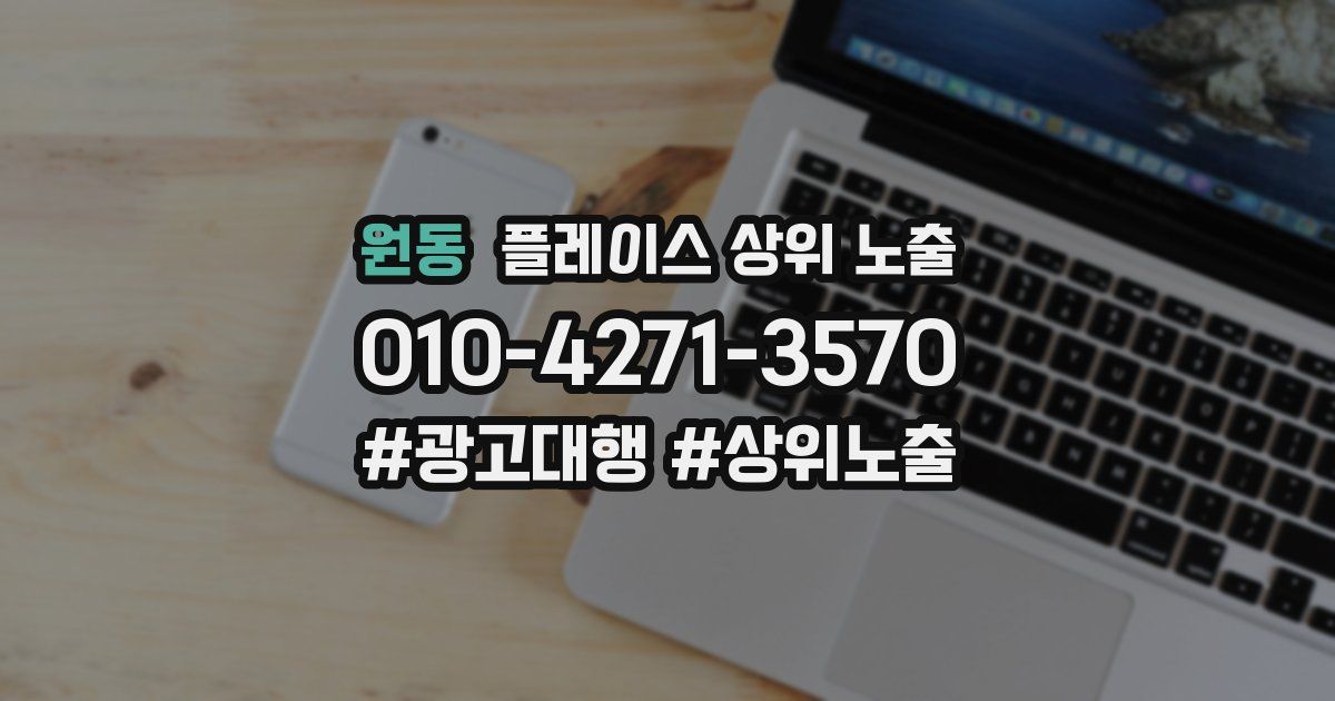 원동 플레이스 상위 노출