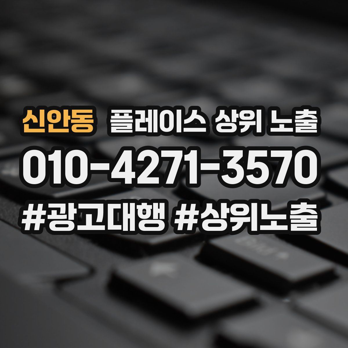 신안동 플레이스 상위 노출