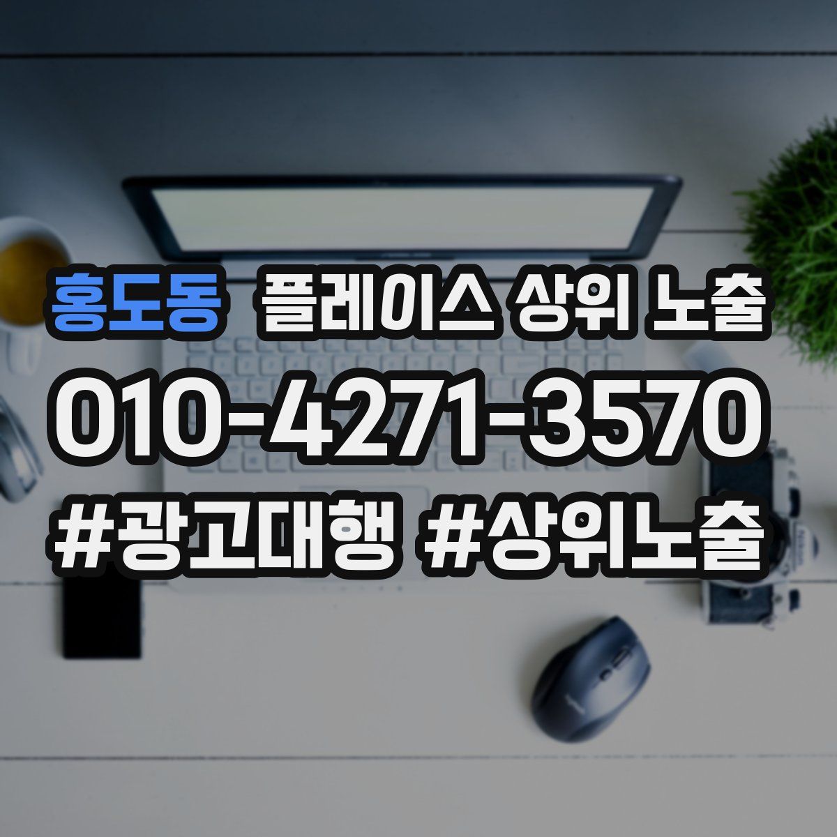 홍도동 플레이스 상위 노출