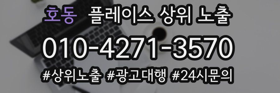 호동 플레이스 상위 노출