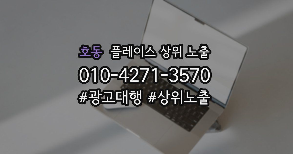호동 플레이스 상위 노출