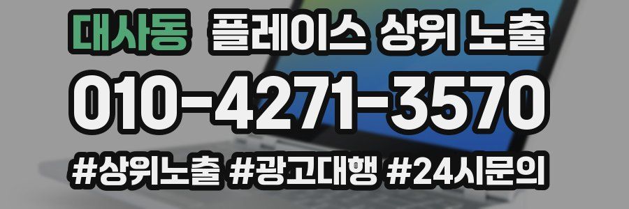대사동 플레이스 상위 노출