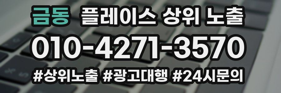 금동 플레이스 상위 노출