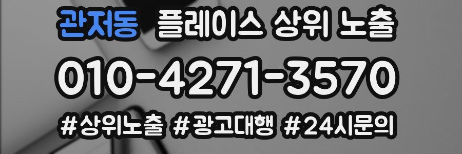 관저동 플레이스 상위 노출