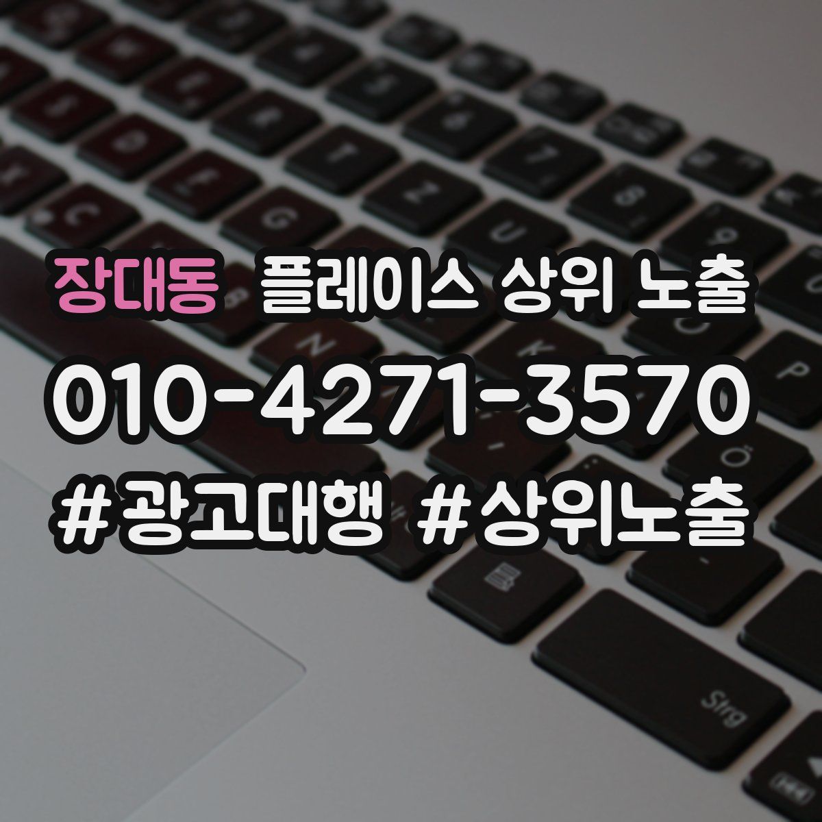 장대동 플레이스 상위 노출