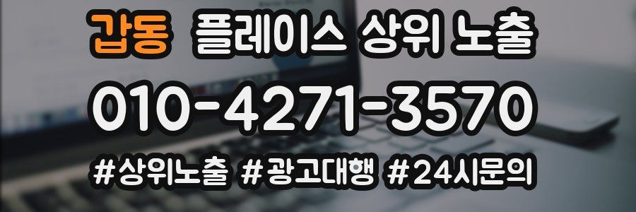 갑동 플레이스 상위 노출