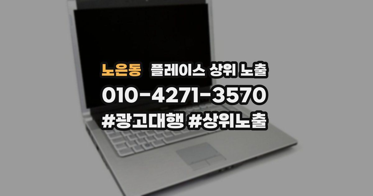 노은동 플레이스 상위 노출