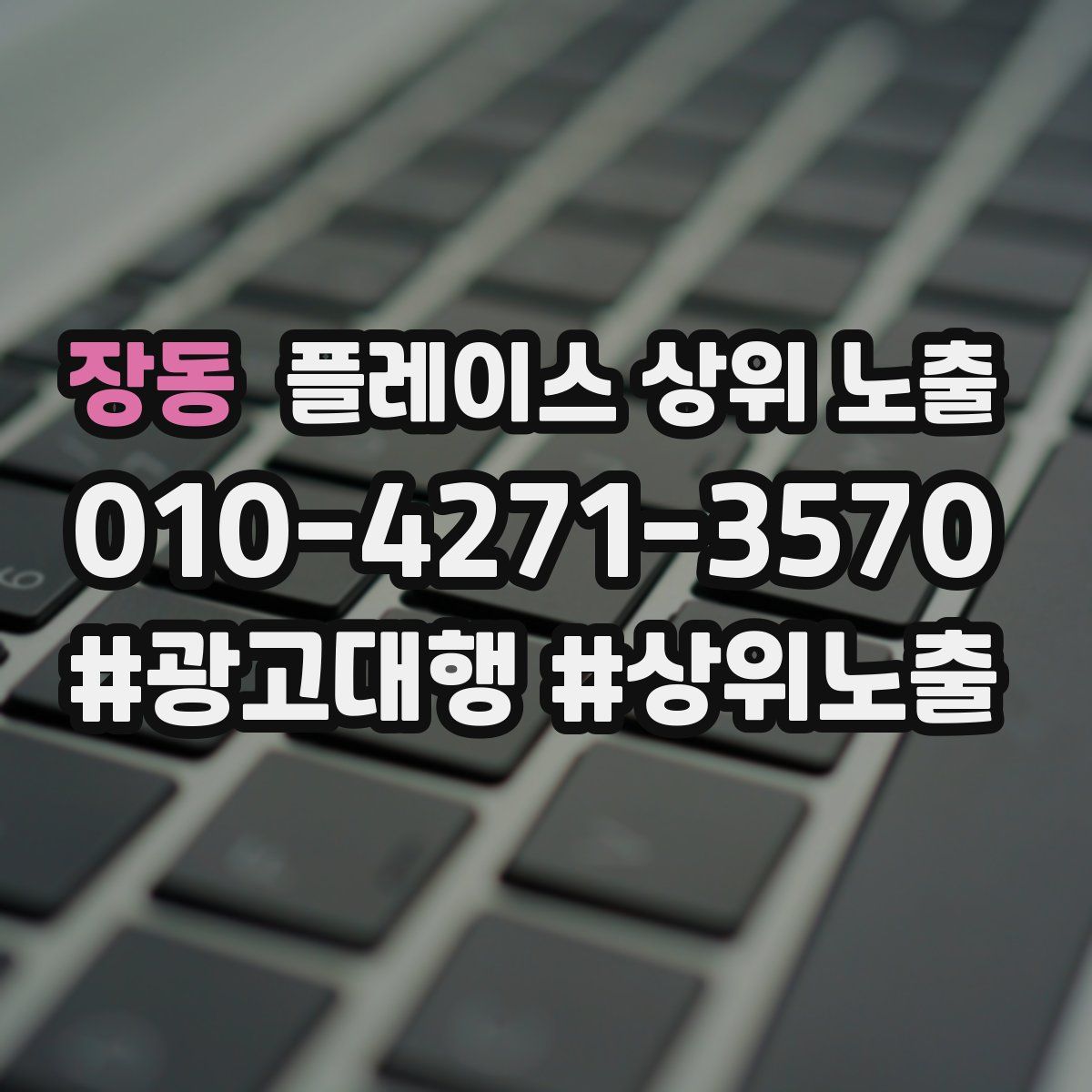 장동 플레이스 상위 노출