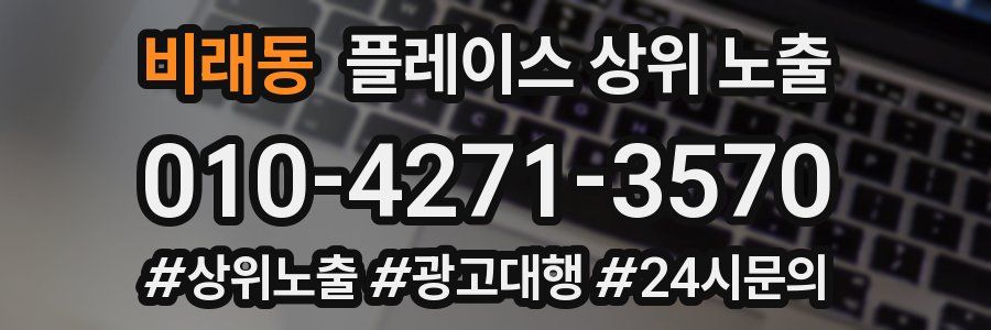비래동 플레이스 상위 노출