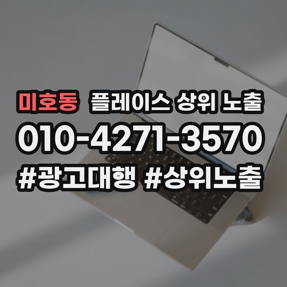 미호동 플레이스 상위 노출 전화 버튼이 잘 먹히는 업종 특징