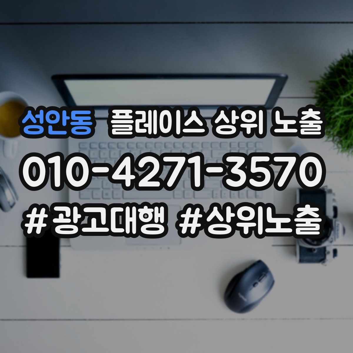 성안동 플레이스 상위 노출