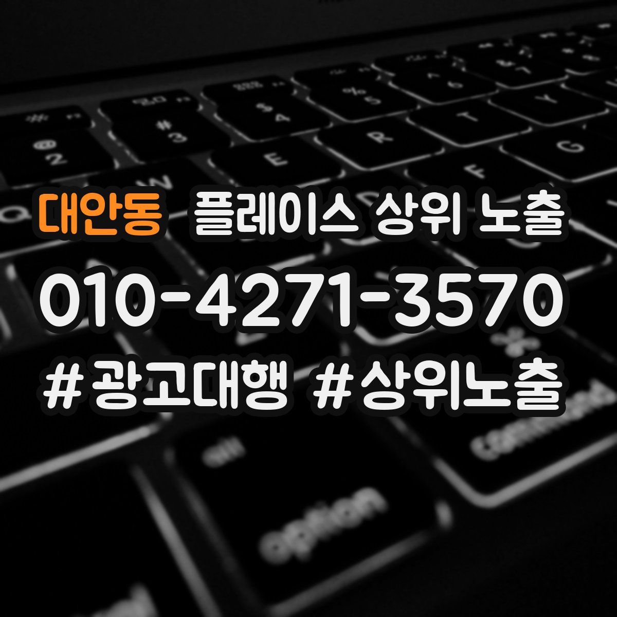 대안동 플레이스 상위 노출