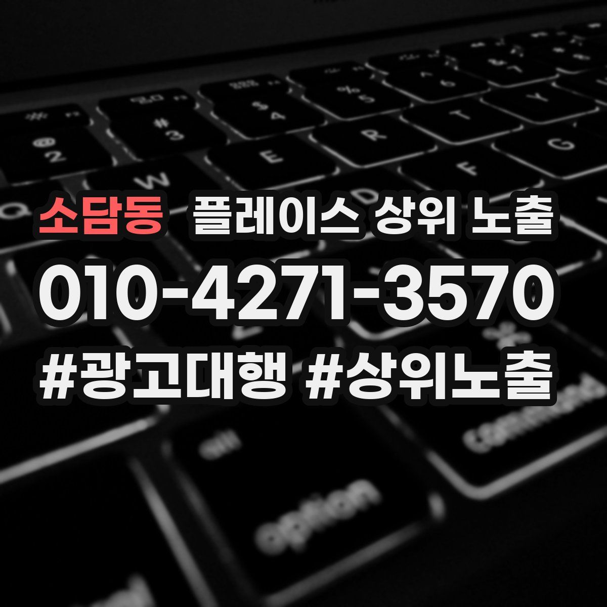 소담동 플레이스 상위 노출