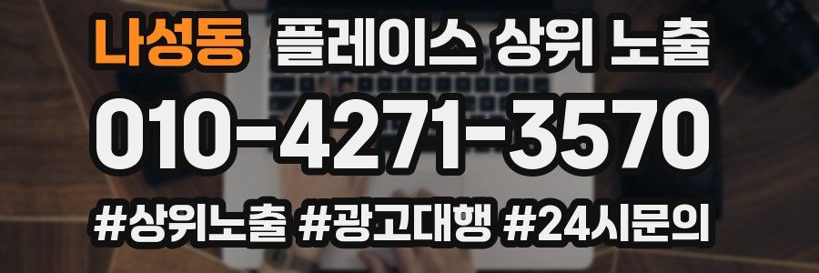 나성동 플레이스 상위 노출