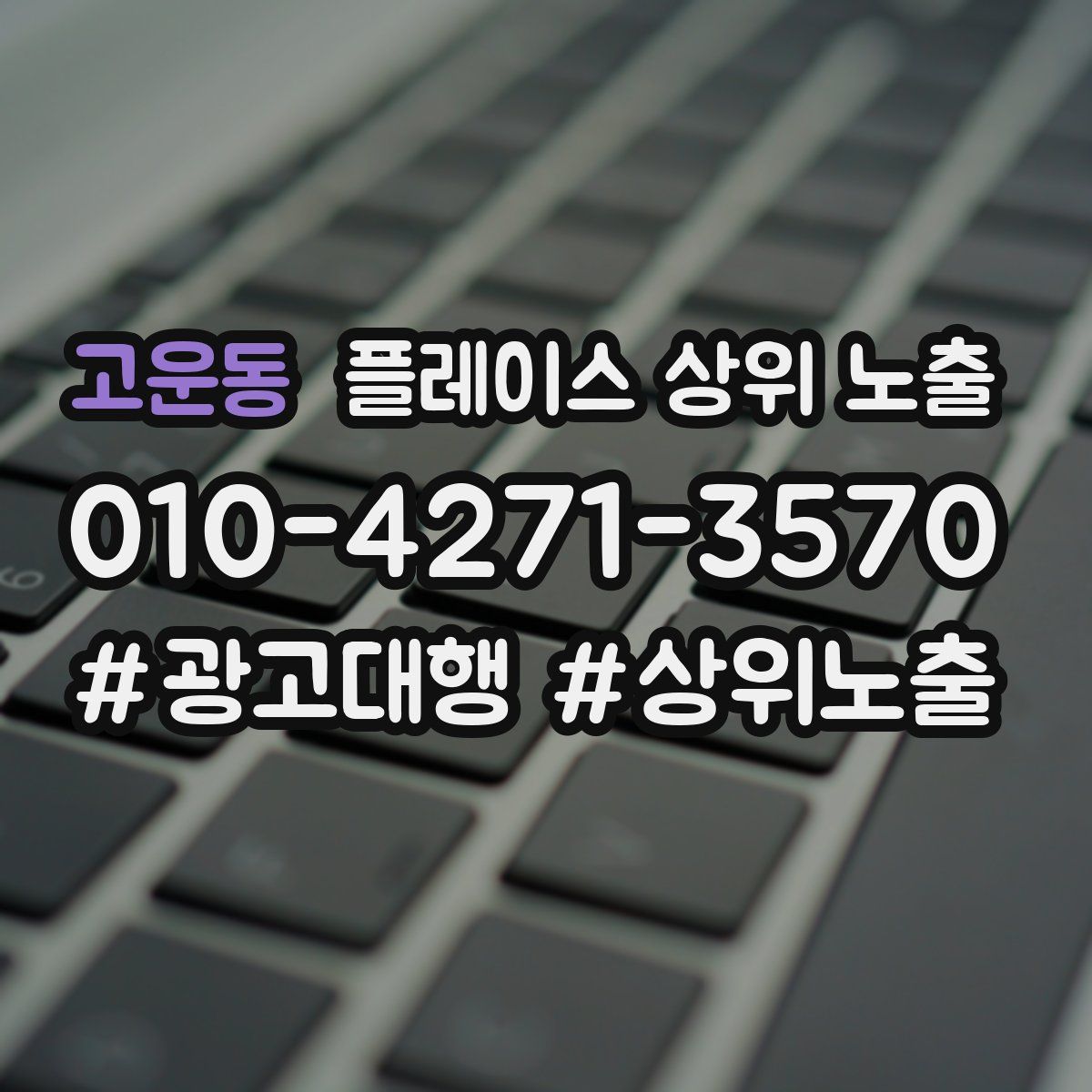 고운동 플레이스 상위 노출