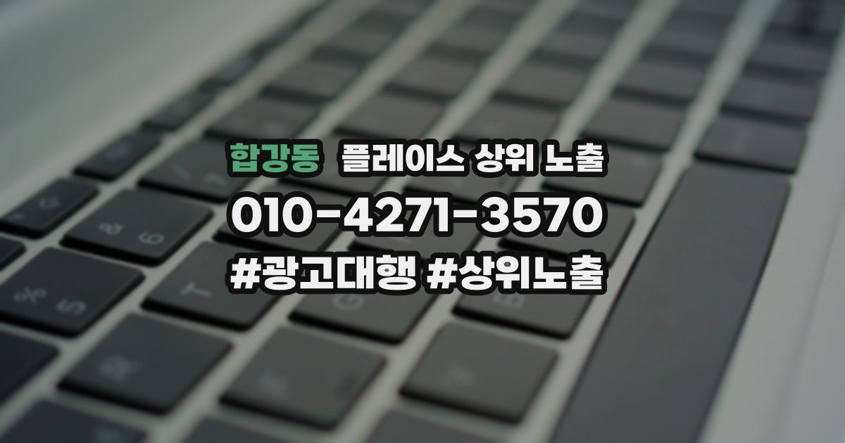 합강동 플레이스 상위 노출
