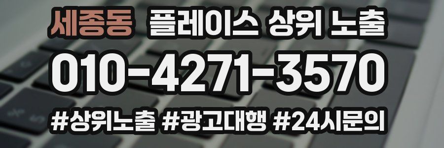 세종동 플레이스 상위 노출