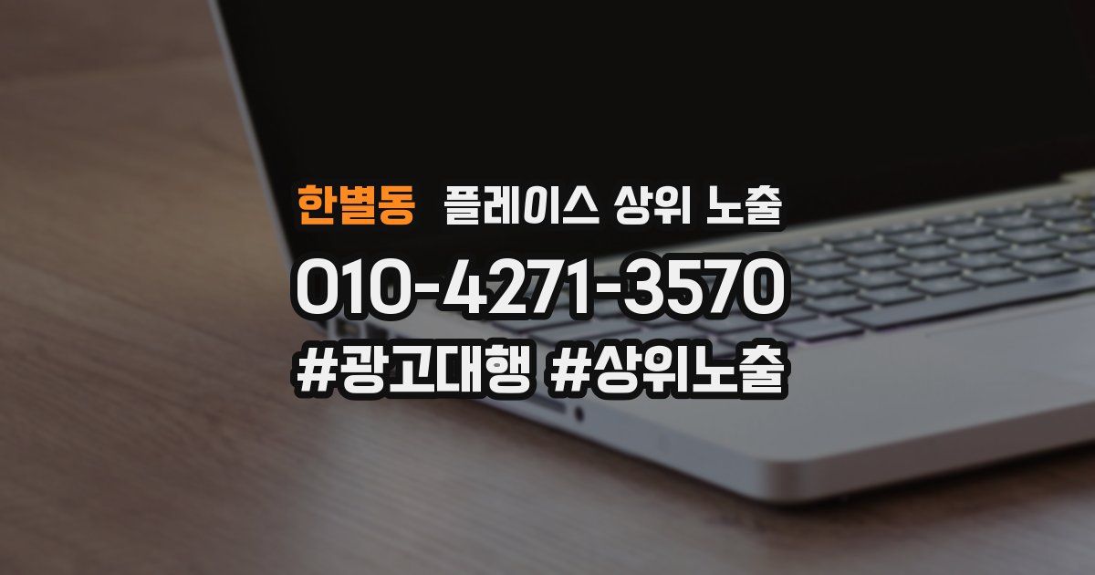 한별동 플레이스 상위 노출