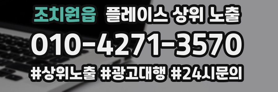 조치원읍 플레이스 상위 노출