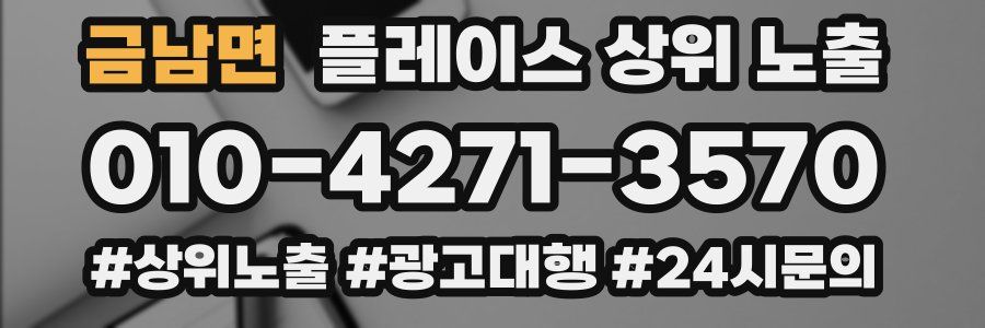 금남면 플레이스 상위 노출