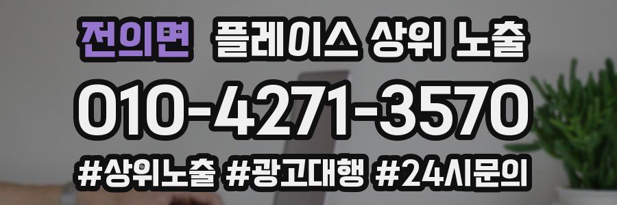 전의면 플레이스 상위 노출