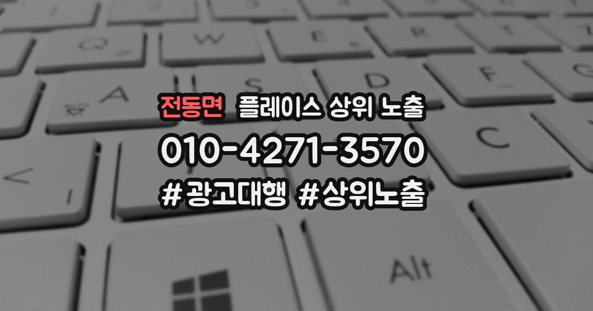 전동면 플레이스 상위 노출