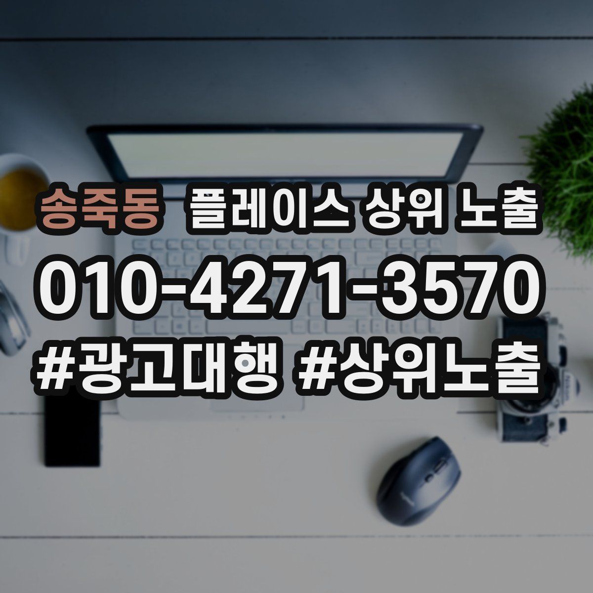 송죽동 플레이스 상위 노출