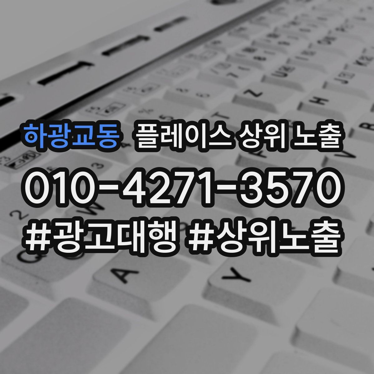 하광교동 플레이스 상위 노출