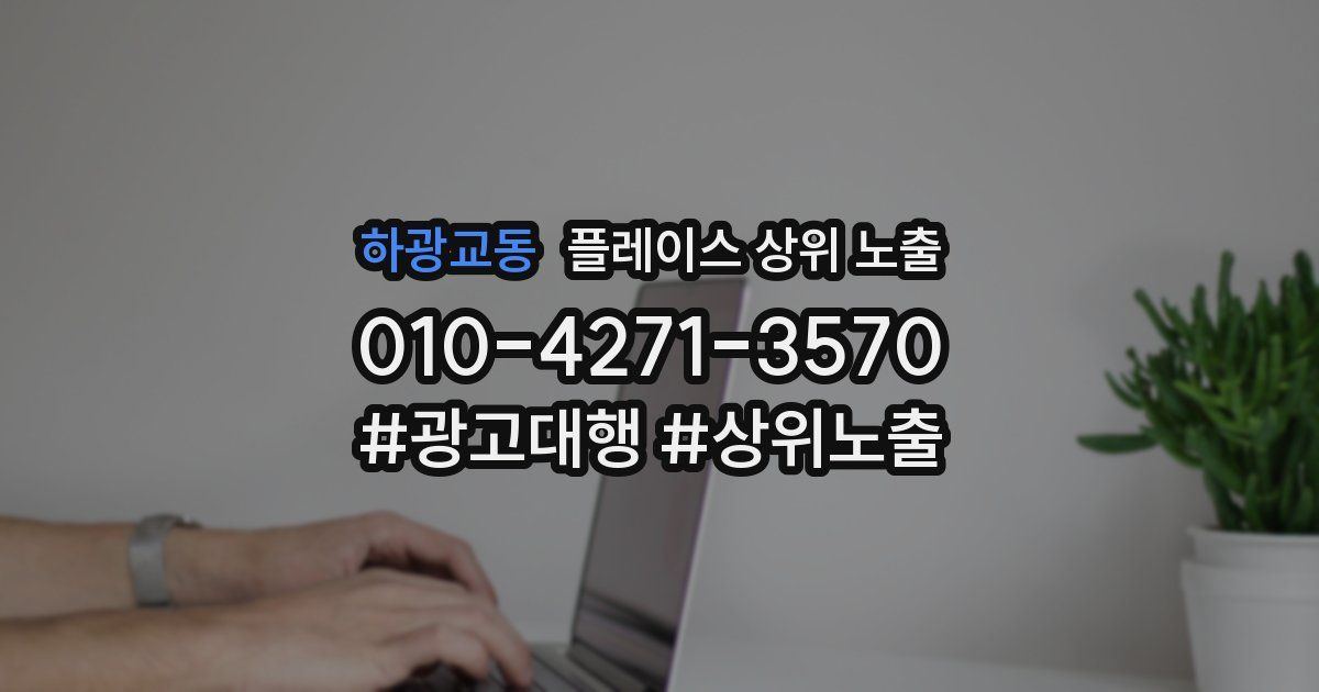 하광교동 플레이스 상위 노출