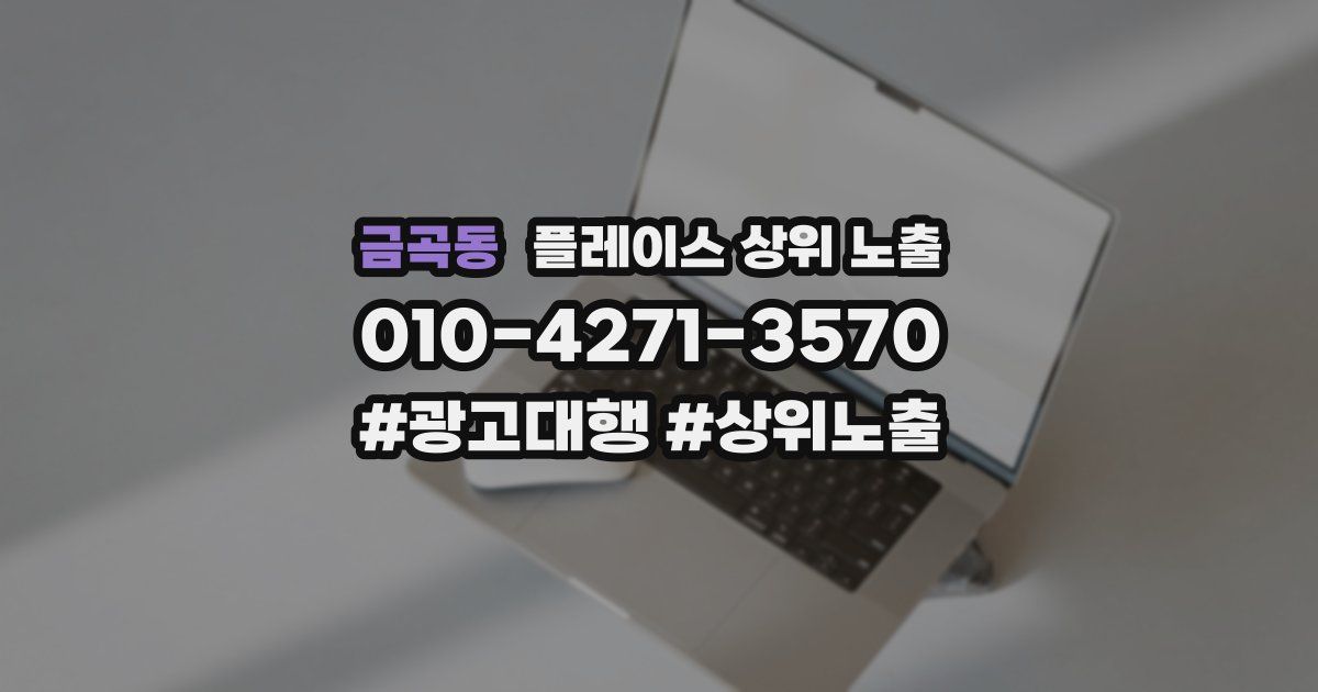 금곡동 플레이스 상위 노출