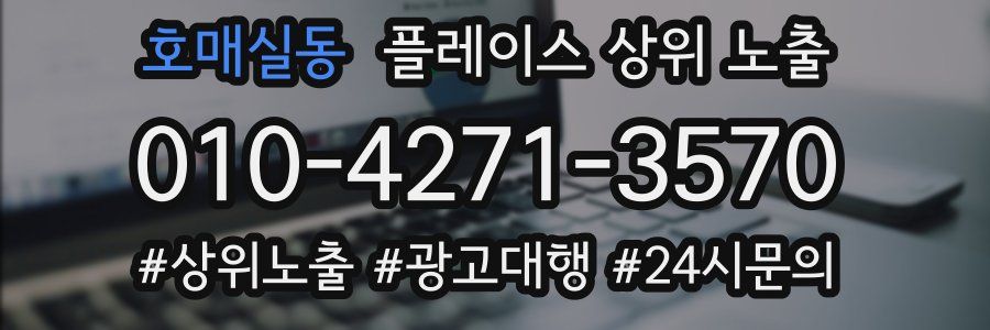 호매실동 플레이스 상위 노출