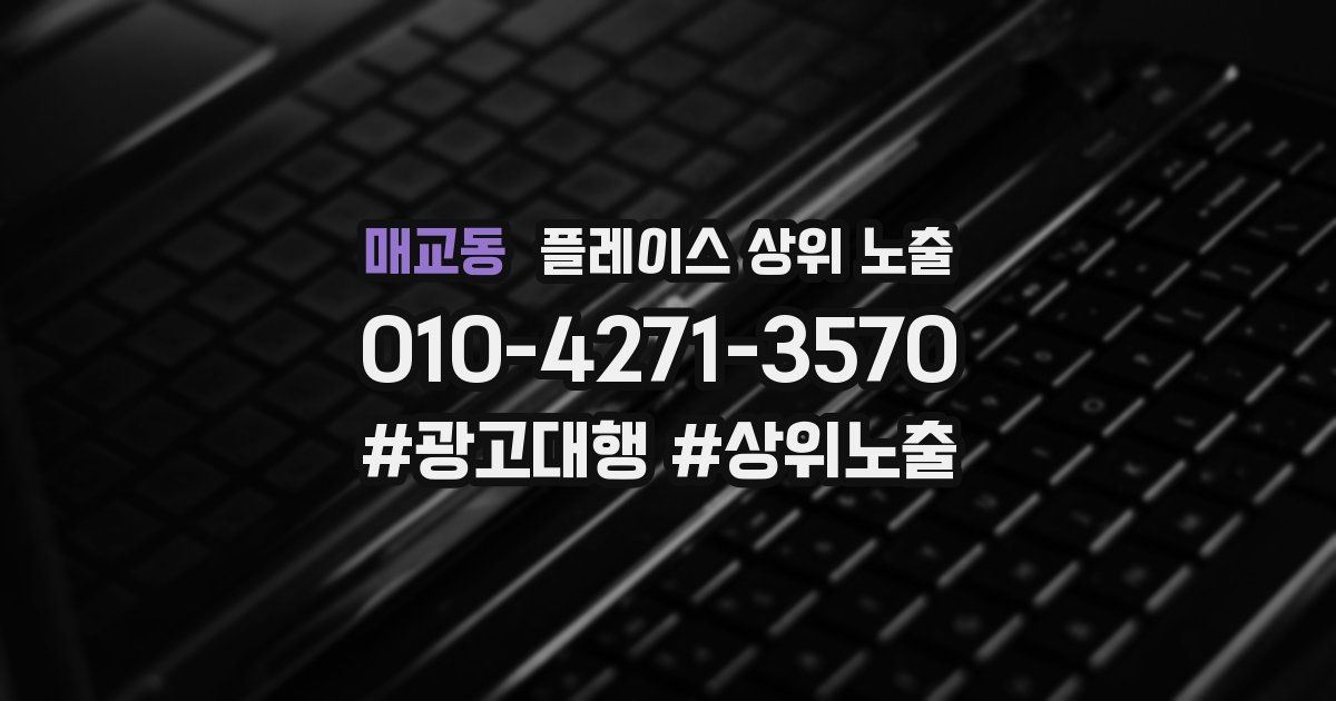 매교동 플레이스 상위 노출