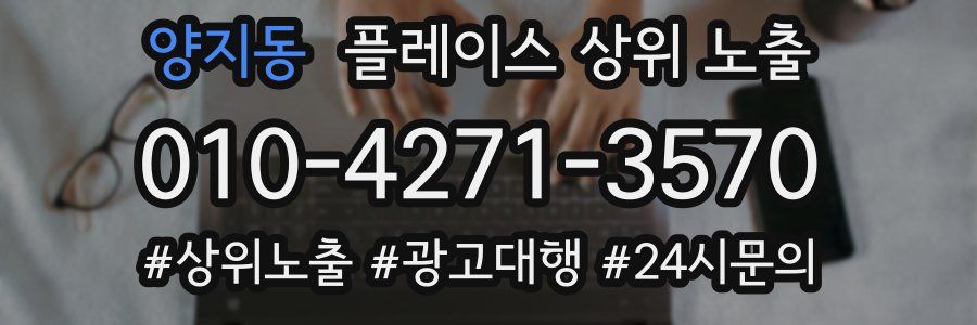 양지동 플레이스 상위 노출