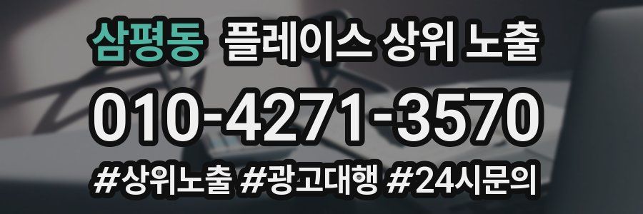 삼평동 플레이스 상위 노출