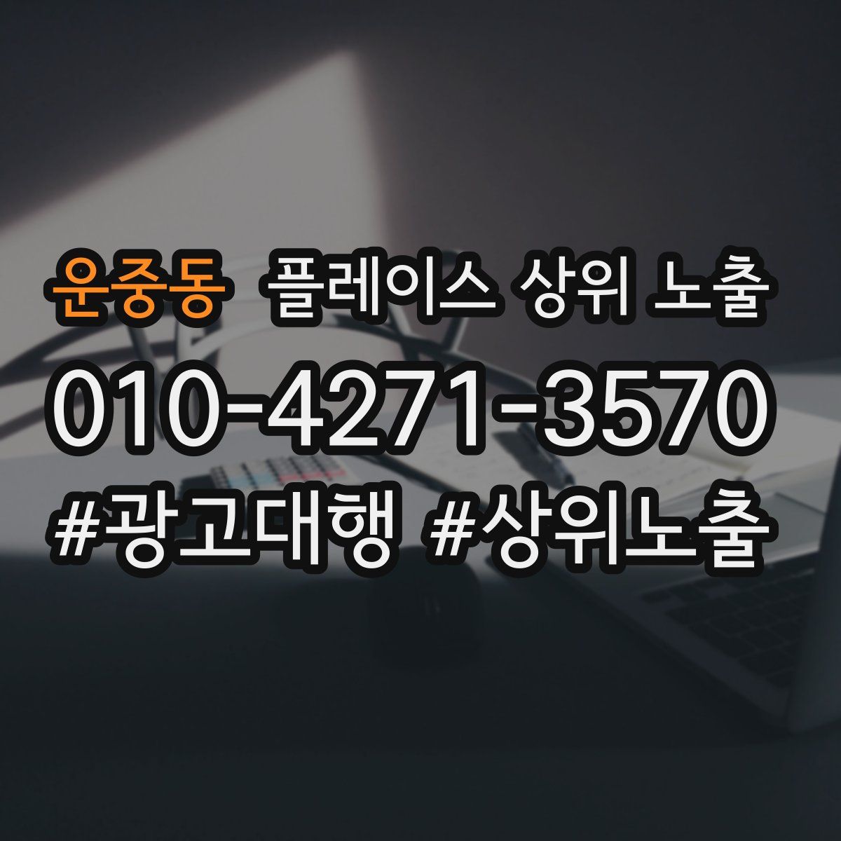 운중동 플레이스 상위 노출