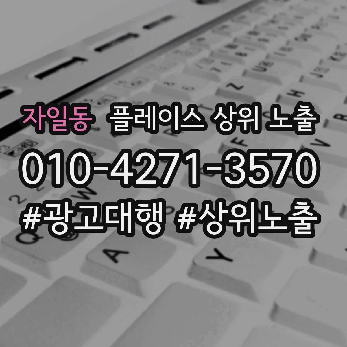 자일동 플레이스 상위 노출